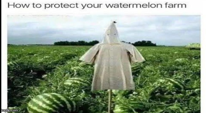 pro tips 101 | image tagged in watermelon,farm | made w/ Imgflip meme maker