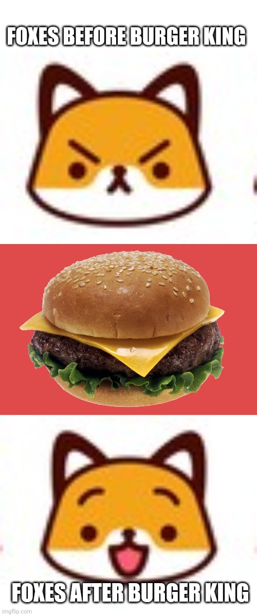 You need to learn important fox facts.  Now. | FOXES BEFORE BURGER KING; FOXES AFTER BURGER KING | image tagged in cheese burger,fox,facts,burger king | made w/ Imgflip meme maker