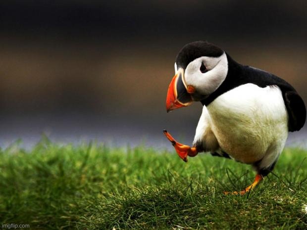 Unpopular Opinion Puffin | image tagged in unpopular opinion puffin | made w/ Imgflip meme maker