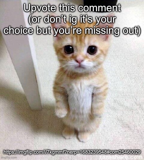 The | Upvote this comment (or don’t ig it’s your choice but you’re missing out); https://imgflip.com/i/7kgmmf?nerp=1683239548#com25460029 | image tagged in memes,cute cat | made w/ Imgflip meme maker