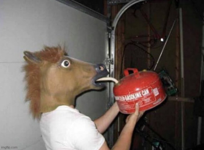 feeling cute, might drink gas later | image tagged in horse drinking gasoline | made w/ Imgflip meme maker