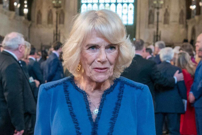 High Quality Camilla Parker Bowles Blank Meme Template
