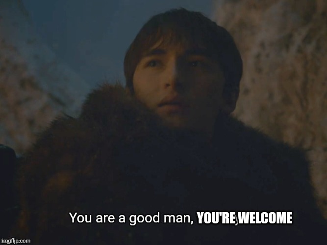 You are a good man, thank you | YOU'RE WELCOME | image tagged in you are a good man thank you | made w/ Imgflip meme maker
