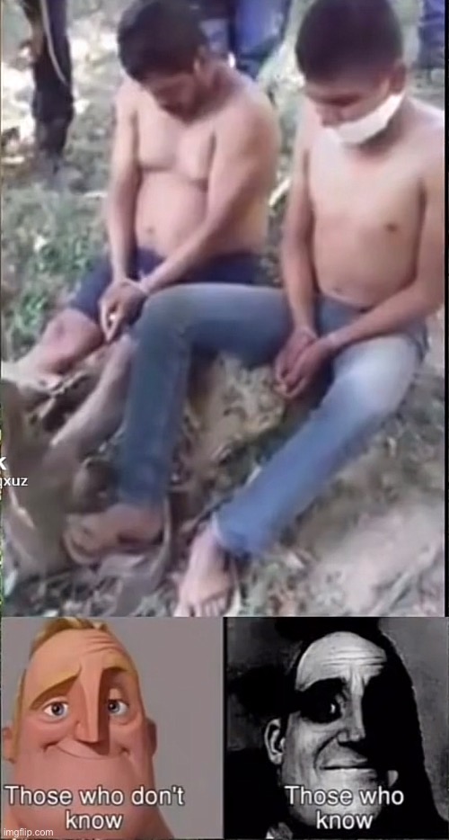 Best if you dont know. | made w/ Imgflip meme maker