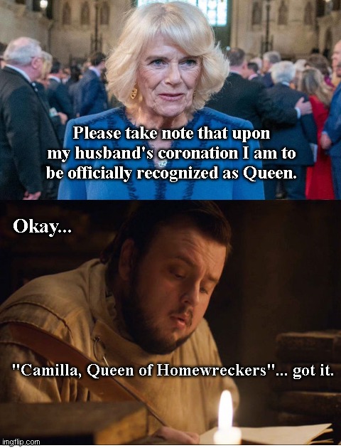 Samwell Tarly records Camilla's official status | Please take note that upon my husband's coronation I am to be officially recognized as Queen. Okay... "Camilla, Queen of Homewreckers"... got it. | image tagged in samwell tarly,camilla parker bowles,charles and camilla affair,princess diana,british royals,political humor | made w/ Imgflip meme maker