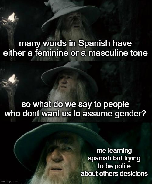 *intense thinking* | many words in Spanish have either a feminine or a masculine tone; so what do we say to people who dont want us to assume gender? me learning spanish but trying to be polite about others desicions | image tagged in memes,confused gandalf | made w/ Imgflip meme maker