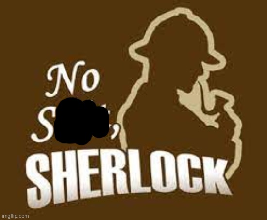 No shit sherlock | image tagged in no shit sherlock | made w/ Imgflip meme maker
