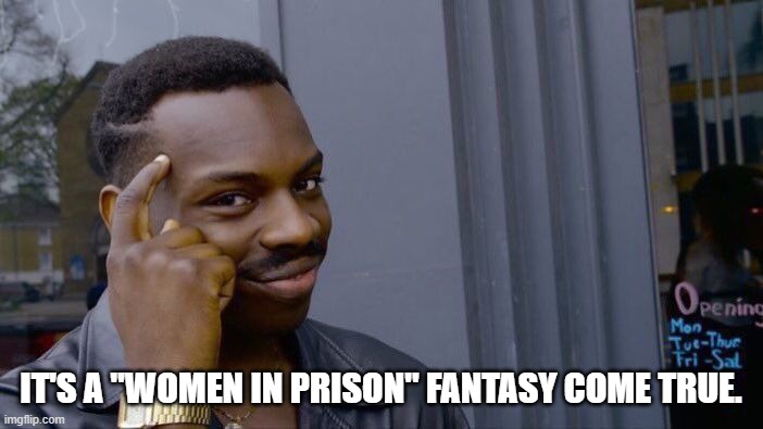 Roll Safe Think About It Meme | IT'S A "WOMEN IN PRISON" FANTASY COME TRUE. | image tagged in memes,roll safe think about it | made w/ Imgflip meme maker