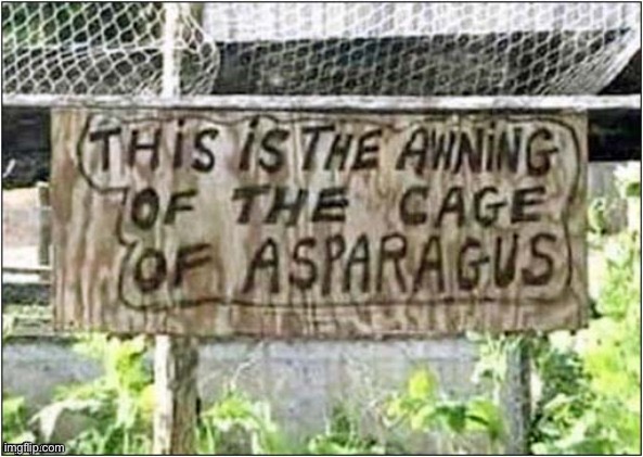 Not the age of Aquarius | image tagged in aquarium,asparagus,awning,cage | made w/ Imgflip meme maker