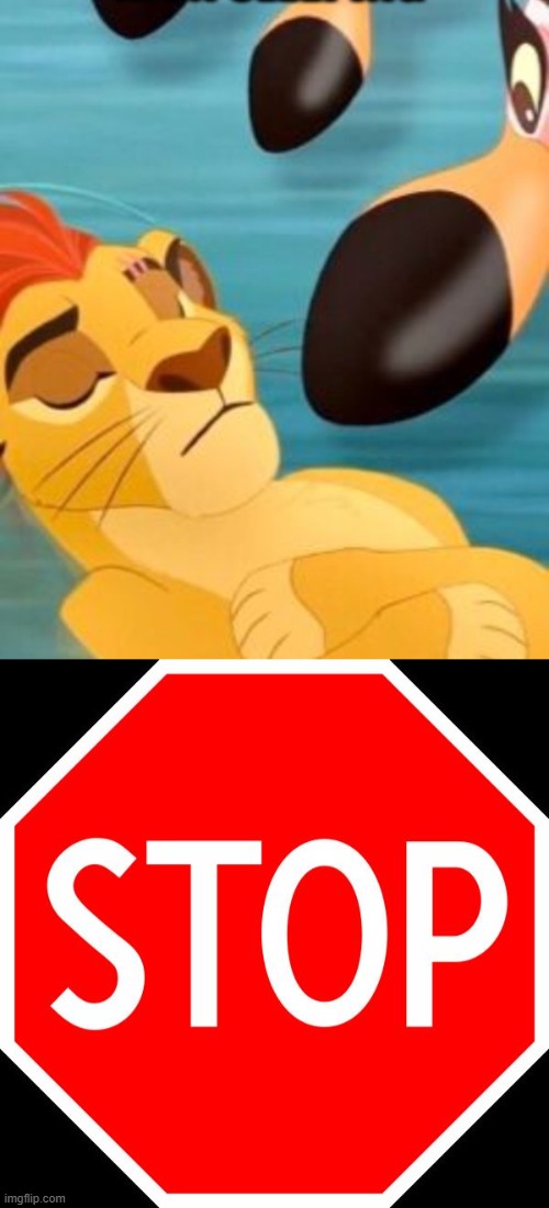 image tagged in kion sleeping for no reason,stop sign | made w/ Imgflip meme maker