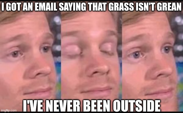 Blinking guy | I GOT AN EMAIL SAYING THAT GRASS ISN'T GREAN; I'VE NEVER BEEN OUTSIDE | image tagged in blinking guy | made w/ Imgflip meme maker