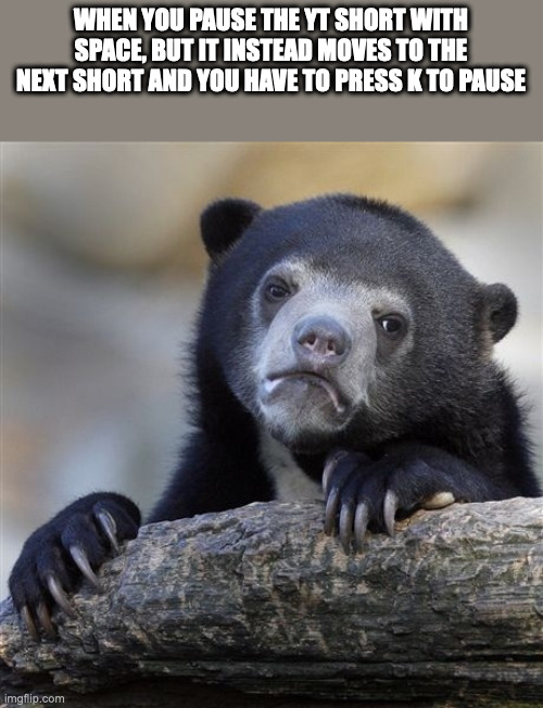 Confession Bear | WHEN YOU PAUSE THE YT SHORT WITH SPACE, BUT IT INSTEAD MOVES TO THE NEXT SHORT AND YOU HAVE TO PRESS K TO PAUSE | image tagged in memes,confession bear | made w/ Imgflip meme maker