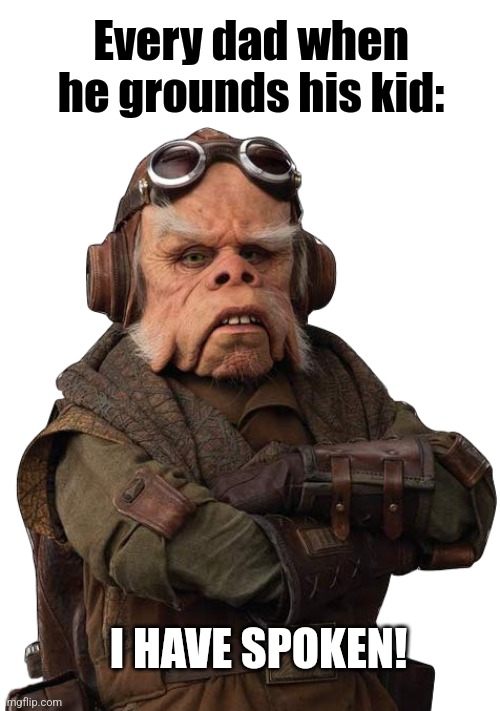 May the Ugnaught  be with you | Every dad when he grounds his kid:; I HAVE SPOKEN! | image tagged in the mandalorian,dads,kids,grounded,may the fourth be with you,i have spoken | made w/ Imgflip meme maker