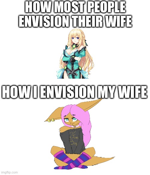 How I envision my wife | HOW MOST PEOPLE ENVISION THEIR WIFE; HOW I ENVISION MY WIFE | image tagged in furry,cute,animals,relationships,gaming,roblox | made w/ Imgflip meme maker