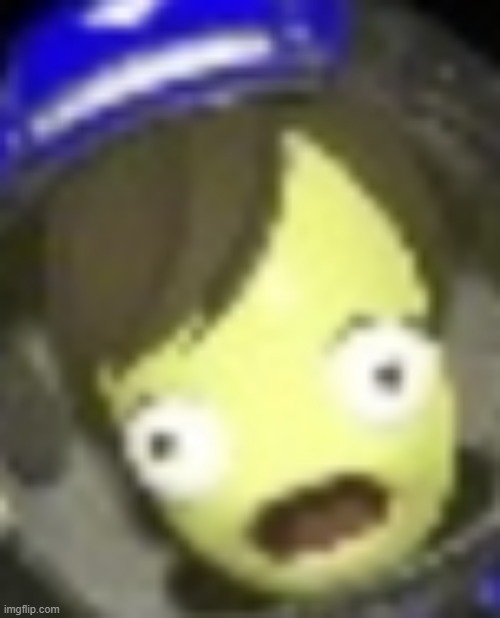 shocked kerbal | image tagged in shocked kerbal | made w/ Imgflip meme maker