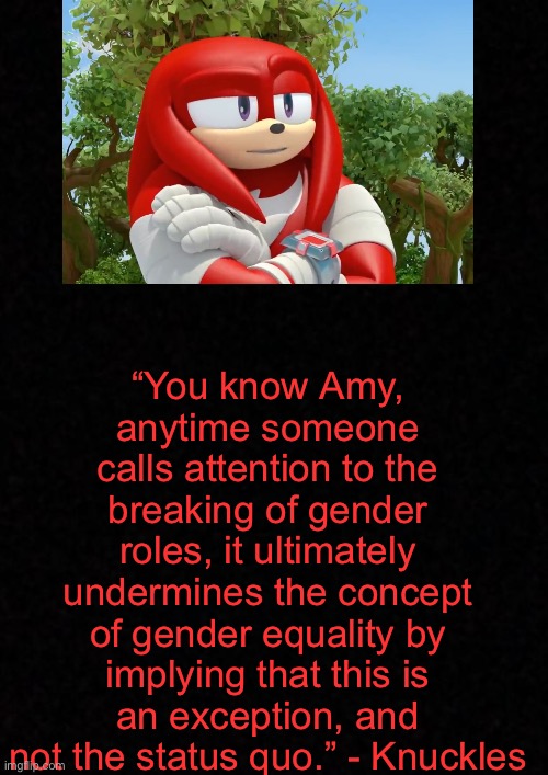 . | “You know Amy, anytime someone calls attention to the breaking of gender roles, it ultimately undermines the concept of gender equality by implying that this is an exception, and not the status quo.” - Knuckles | image tagged in blank | made w/ Imgflip meme maker