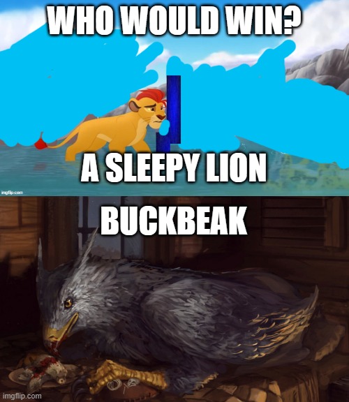 Used in comment | WHO WOULD WIN? A SLEEPY LION; BUCKBEAK | image tagged in jackass,buckbeak | made w/ Imgflip meme maker