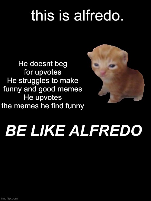 be like alfredo | this is alfredo. He doesnt beg for upvotes
He struggles to make funny and good memes
He upvotes the memes he find funny; BE LIKE ALFREDO | image tagged in memes,alfredo | made w/ Imgflip meme maker