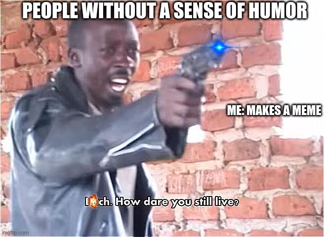 Bitch. How dare you still live | PEOPLE WITHOUT A SENSE OF HUMOR; ME: MAKES A MEME | image tagged in bitch how dare you still live | made w/ Imgflip meme maker