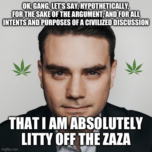 Shen Bapiro zaza | OK, GANG. LET’S SAY, HYPOTHETICALLY, FOR THE SAKE OF THE ARGUMENT, AND FOR ALL INTENTS AND PURPOSES OF A CIVILIZED DISCUSSION; THAT I AM ABSOLUTELY LITTY OFF THE ZAZA | image tagged in woah | made w/ Imgflip meme maker