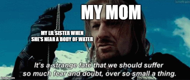 She is so worried about my lil sister lol | MY MOM; MY LIL SISTER WHEN SHE'S NEAR A BODY OF WATER | image tagged in boromir,lotr,parents,kids,anxiety | made w/ Imgflip meme maker