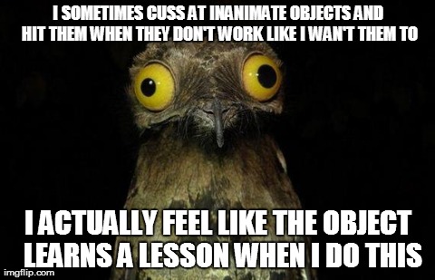 Weird Stuff I Do Potoo Meme | I SOMETIMES CUSS AT INANIMATE OBJECTS AND HIT THEM WHEN THEY DON'T WORK LIKE I WAN'T THEM TO I ACTUALLY FEEL LIKE THE OBJECT  LEARNS A LESSO | image tagged in memes,weird stuff i do potoo,AdviceAnimals | made w/ Imgflip meme maker