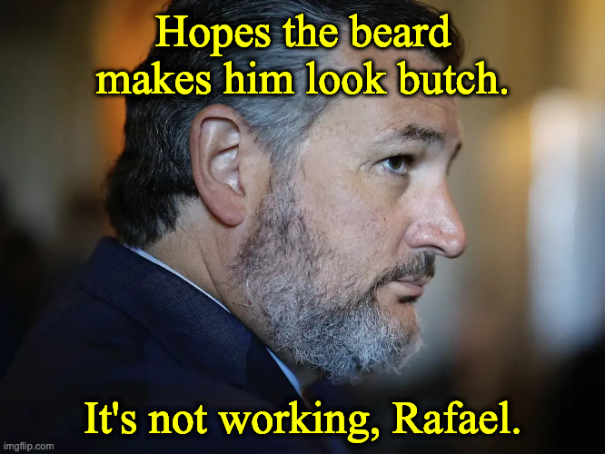 Ted Cruz | Hopes the beard makes him look butch. It's not working, Rafael. | image tagged in ted cruz | made w/ Imgflip meme maker