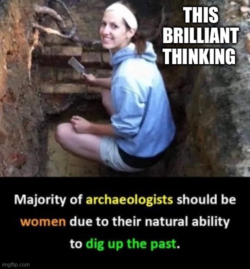 Women | THIS BRILLIANT THINKING | image tagged in women,funny,memes | made w/ Imgflip meme maker