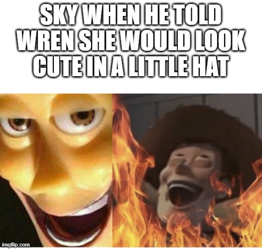 Fire Woody | SKY WHEN HE TOLD WREN SHE WOULD LOOK CUTE IN A LITTLE HAT | image tagged in fire woody,hat | made w/ Imgflip meme maker