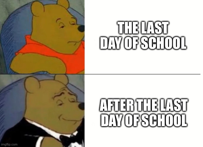 Fancy Winnie The Pooh Meme | THE LAST DAY OF SCHOOL; AFTER THE LAST DAY OF SCHOOL | image tagged in fancy winnie the pooh meme | made w/ Imgflip meme maker