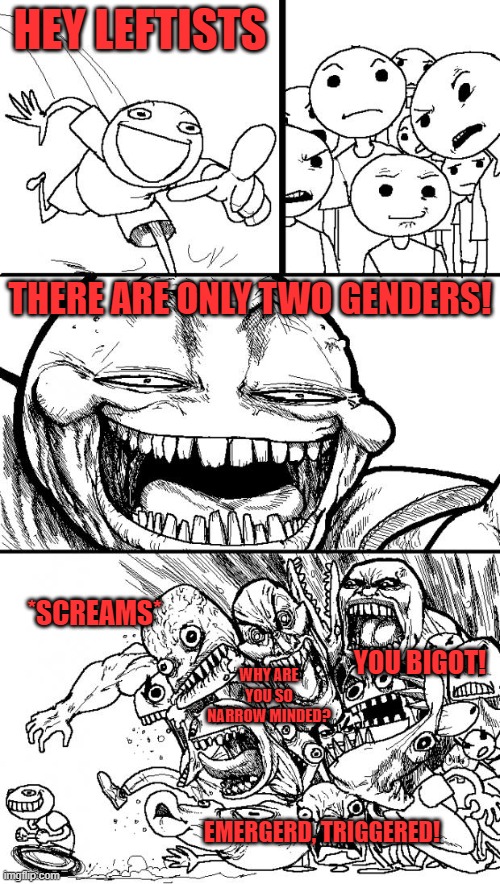 There are only two genders. You can't change that. | HEY LEFTISTS; THERE ARE ONLY TWO GENDERS! *SCREAMS*; YOU BIGOT! WHY ARE YOU SO NARROW MINDED? EMERGERD, TRIGGERED! | image tagged in memes,hey internet | made w/ Imgflip meme maker