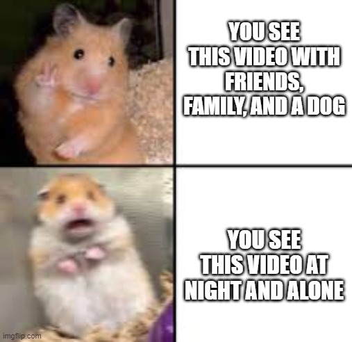 scared hamster | YOU SEE THIS VIDEO WITH FRIENDS, FAMILY, AND A DOG YOU SEE THIS VIDEO AT NIGHT AND ALONE | image tagged in scared hamster | made w/ Imgflip meme maker