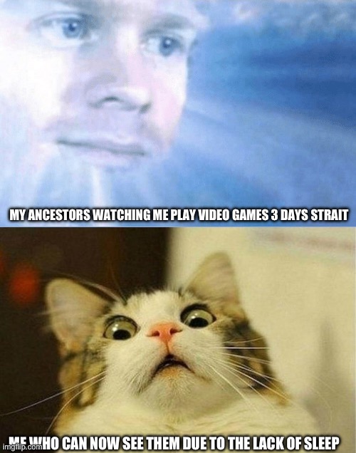 Title | MY ANCESTORS WATCHING ME PLAY VIDEO GAMES 3 DAYS STRAIT; ME WHO CAN NOW SEE THEM DUE TO THE LACK OF SLEEP | image tagged in the first guy to go to heaven,cats | made w/ Imgflip meme maker