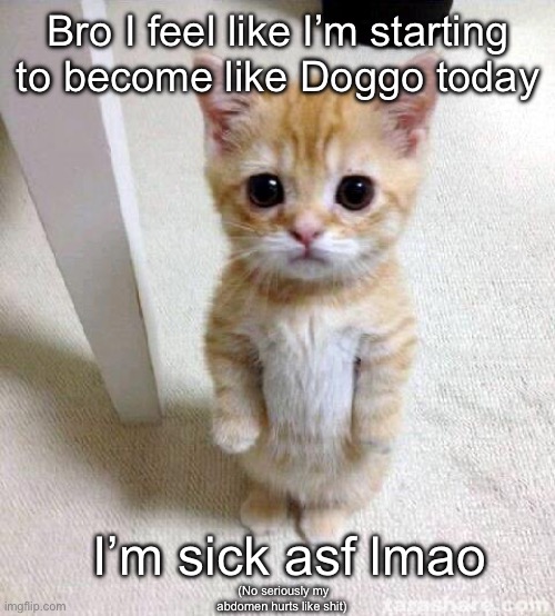 help | Bro I feel like I’m starting to become like Doggo today; I’m sick asf lmao; (No seriously my abdomen hurts like shit) | image tagged in memes,cute cat | made w/ Imgflip meme maker