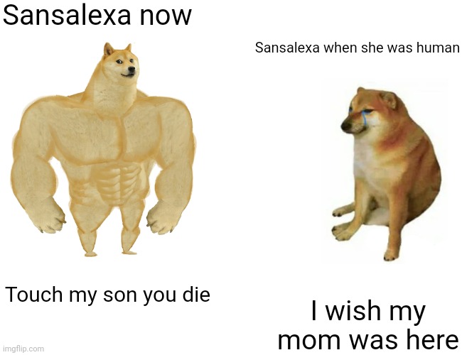 Buff Doge vs. Cheems | Sansalexa now; Sansalexa when she was human; Touch my son you die; I wish my mom was here | image tagged in memes,buff doge vs cheems | made w/ Imgflip meme maker
