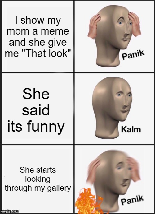 OH NO | I show my mom a meme and she give me "That look"; She said its funny; She starts looking through my gallery | image tagged in memes,panik kalm panik | made w/ Imgflip meme maker