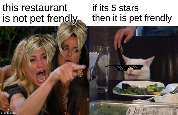 pet fendly | this restaurant is not pet frendly; if its 5 stars then it is pet frendly | image tagged in memes,woman yelling at cat | made w/ Imgflip meme maker