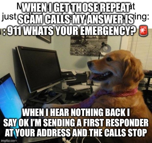 Scam repeat calls | WHEN I GET THOSE REPEAT SCAM CALLS MY ANSWER IS : 911 WHATS YOUR EMERGENCY? 🚨; WHEN I HEAR NOTHING BACK I SAY OK I’M SENDING A FIRST RESPONDER AT YOUR ADDRESS AND THE CALLS STOP | image tagged in scam caller | made w/ Imgflip meme maker