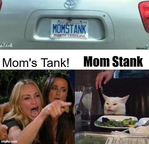 Woman Yelling At Cat Meme | Mom Stank; Mom's Tank! | image tagged in memes,woman yelling at cat | made w/ Imgflip meme maker