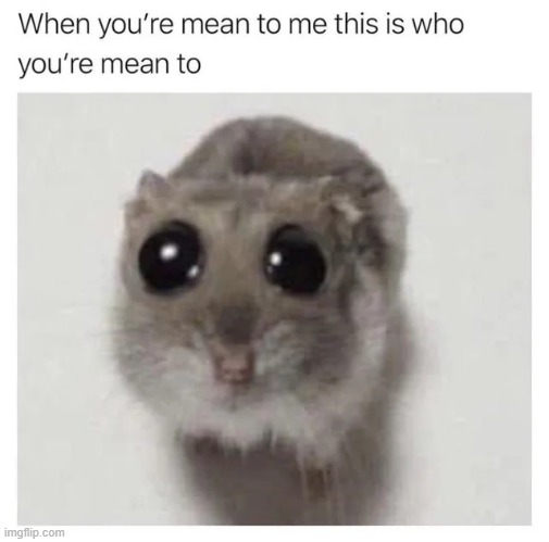 image tagged in memes | made w/ Imgflip meme maker