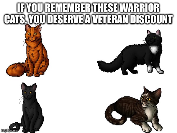 IF YOU REMEMBER THESE WARRIOR CATS, YOU DESERVE A VETERAN DISCOUNT | image tagged in warrior cats,memes | made w/ Imgflip meme maker