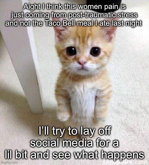 Bye chat | Aight I think this women pain is just coming from post-traumatic stress and not the Taco Bell meal I ate last night; I’ll try to lay off social media for a lil bit and see what happens | image tagged in memes,cute cat | made w/ Imgflip meme maker