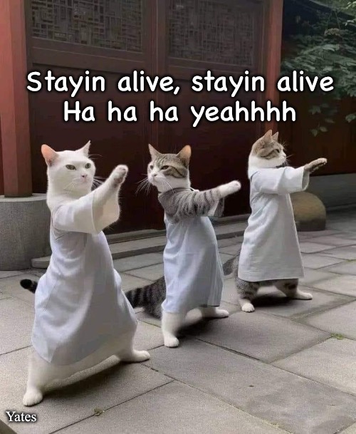 Stayin alive | Stayin alive, stayin alive
Ha ha ha yeahhhh; Yates | image tagged in stayin alive | made w/ Imgflip meme maker