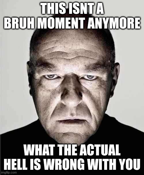 like bro wth | THIS ISNT A BRUH MOMENT ANYMORE; WHAT THE ACTUAL HELL IS WRONG WITH YOU | image tagged in hank frowning,wtf,cringe | made w/ Imgflip meme maker