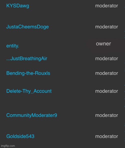 He did it. | owner | made w/ Imgflip meme maker