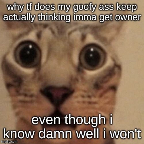 in shock | why tf does my goofy ass keep actually thinking imma get owner; even though i know damn well i won't | image tagged in in shock | made w/ Imgflip meme maker
