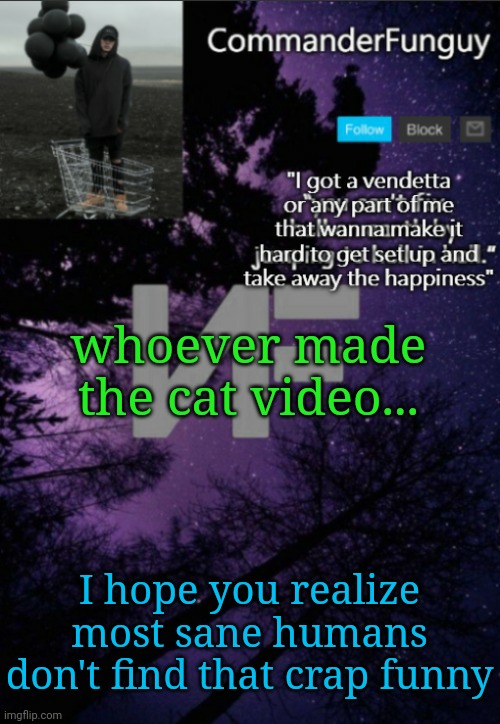 Wtf | whoever made the cat video... I hope you realize most sane humans don't find that crap funny | image tagged in commanderfunguy nf template thx yachi | made w/ Imgflip meme maker