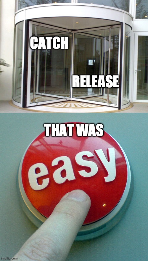 Criminals in New York City | CATCH; RELEASE; THAT WAS | image tagged in revolving door,the easy button | made w/ Imgflip meme maker