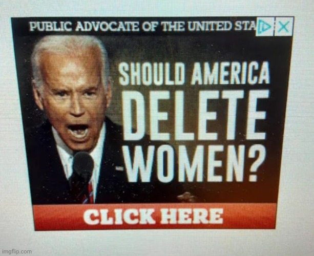 Based Biden | image tagged in should america delete women | made w/ Imgflip meme maker