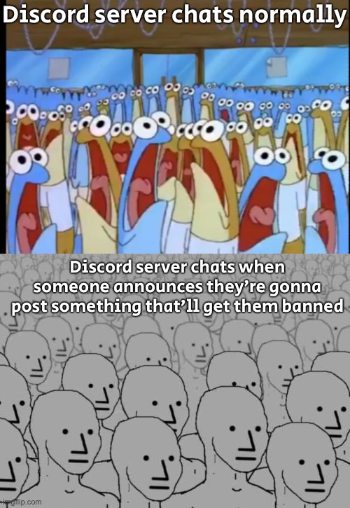 We all be waiting to grab it before the mod deletes it | Discord server chats normally; Discord server chats when someone announces they’re gonna post something that’ll get them banned | image tagged in spongebob anchovies | made w/ Imgflip meme maker